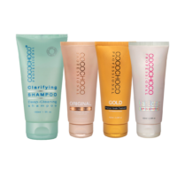 Starter Kit 6: 100ml Keratin Original, Gold, Hair Botox, 150ml Clarifying Shampoo