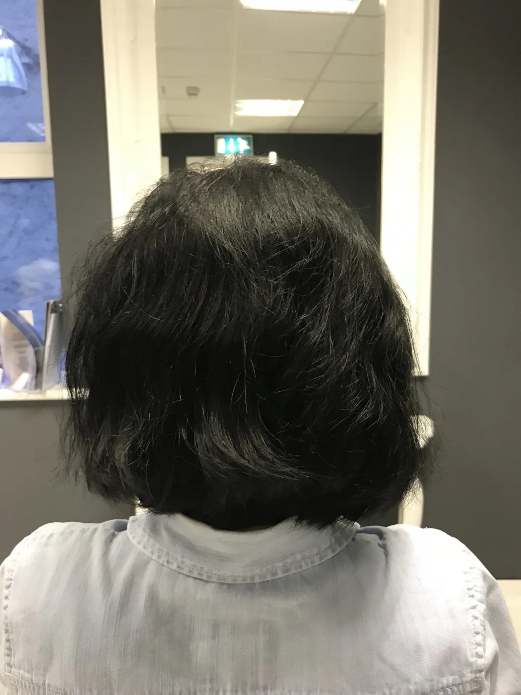 Hair before COCOCHOCO Hair Botox treatment, case 1