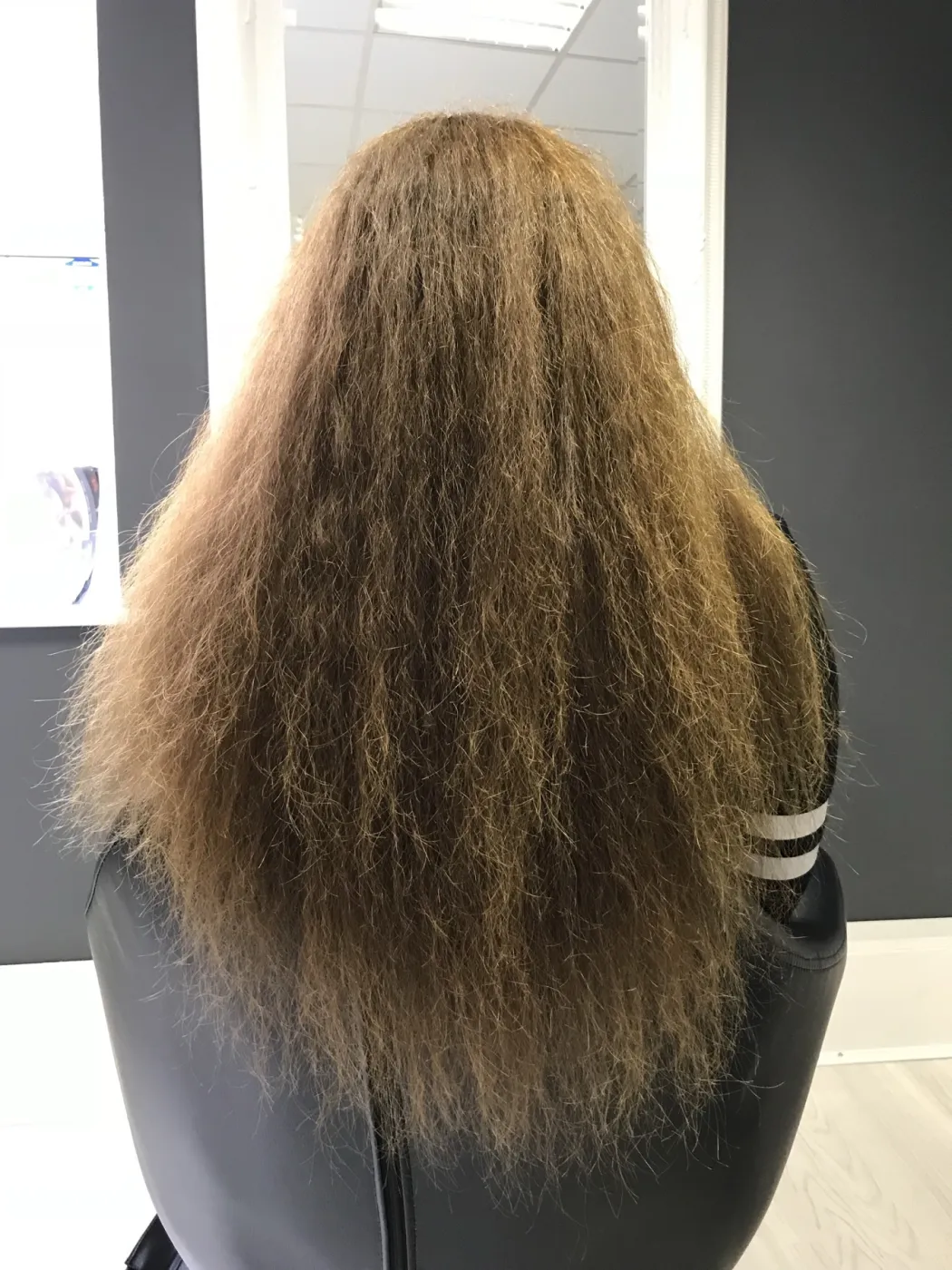 Hair before COCOCHOCO Hair Botox treatment, case 2