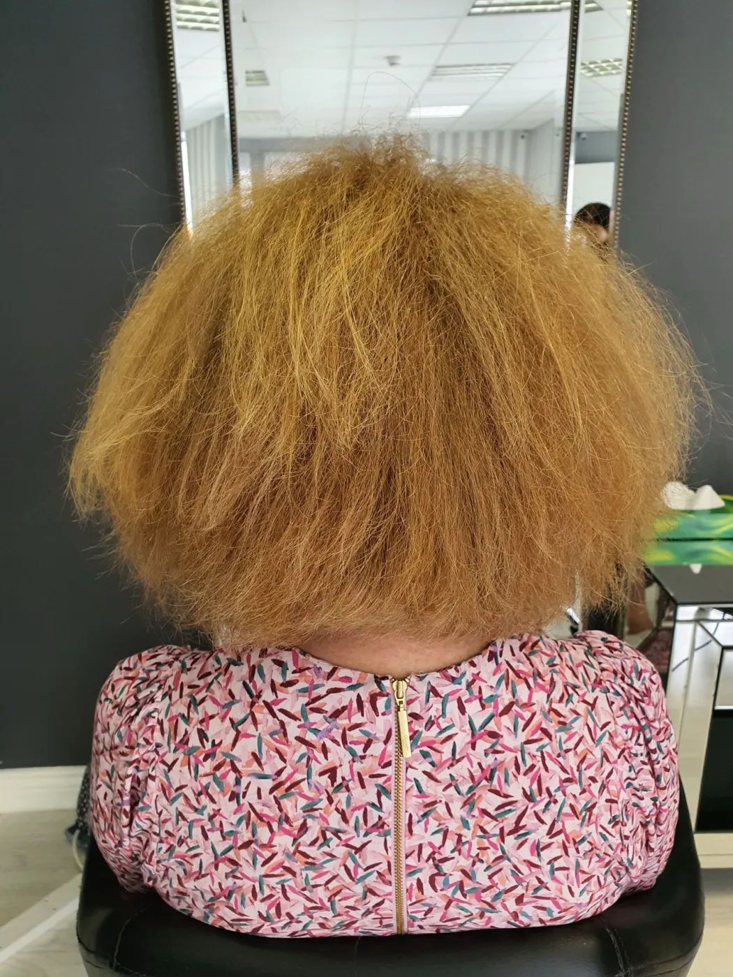 Hair before COCOCHOCO Hair Botox treatment, case 3