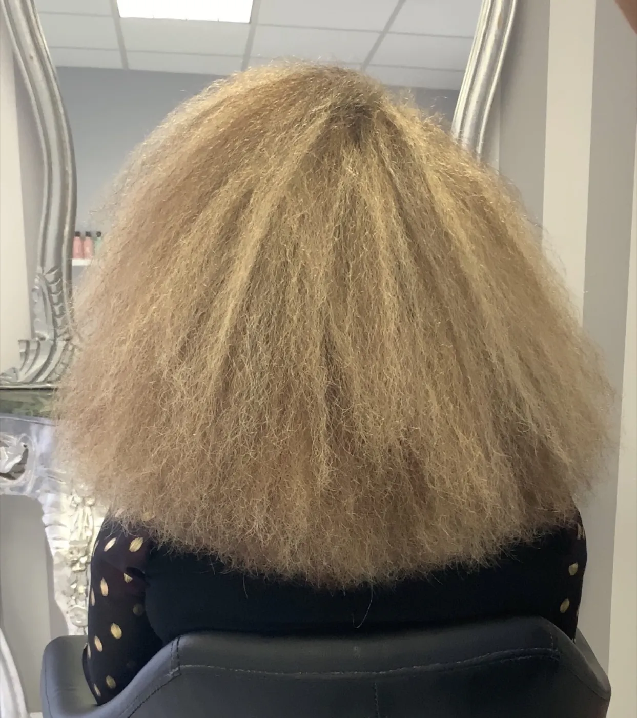 Hair before COCOCHOCO Hair Botox treatment, case 4