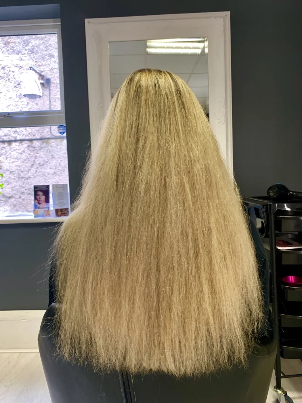 Hair before COCOCHOCO Gold treatment, case 3